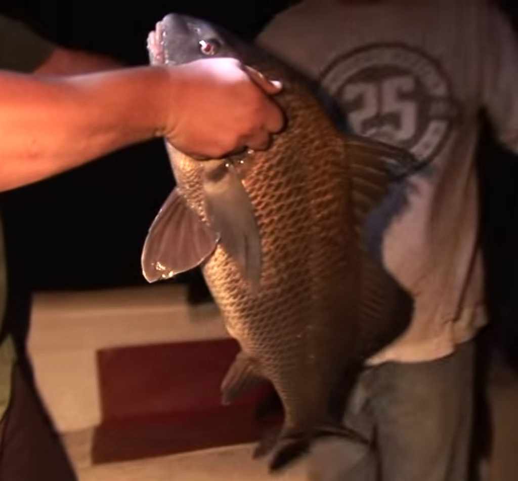 Haulover Canal night time drum